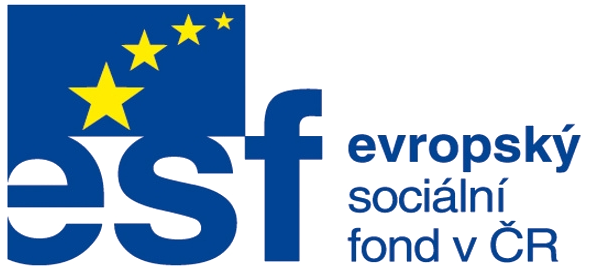 Evropský sociální fond